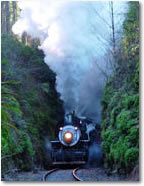 Chelatchie Prairie Railroad