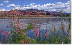 Colorado