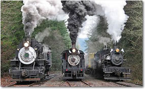 Mount Rainier Scenic Railroad