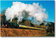 Steam Hauled