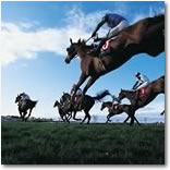 Grand National from London Victoria
