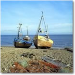 Whitstable (Steam)