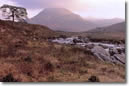 The Royal Scotsman: Grand West Highland
