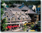 Whistler Mountaineer&reg;: Post-Cruise Escape
