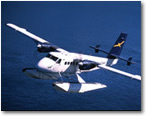 Whistler Mountaineer&reg;: Sky, Sea and Rail Escape